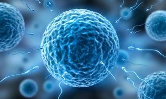 2026年中国专业三代试管婴儿医院排名前十大榜单