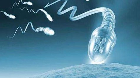 2026年东莞康华医院试管费用多少？附试管费用明细