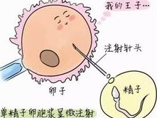 2026山东中医药大学第二附属医院试管婴儿成功率一览，附试管医生推荐