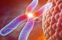 2026上海去柬埔寨试管婴儿比较好机构排名前十柬埔寨试管多少钱能做