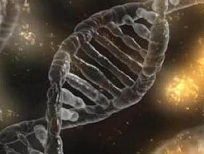 2026大连第三代试管助孕生孩子医院排名前十名